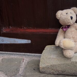 Comfort Grey Bear