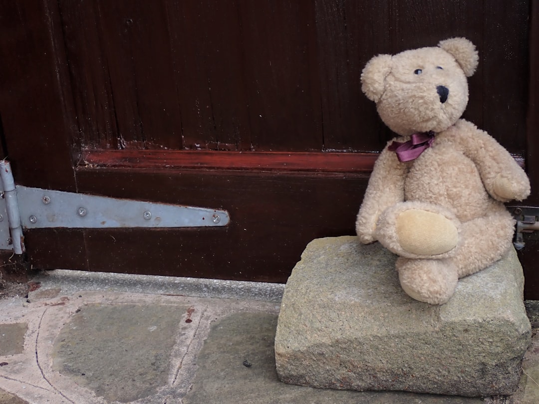 Comfort Grey Bear